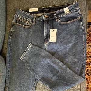 Plus size Judy blue midrise skinny Jean